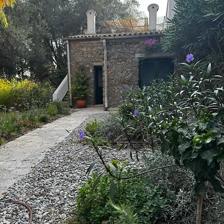 Nyaraló Alexandra *