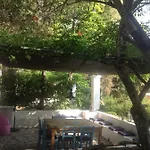 Case de vacanță Alexandra