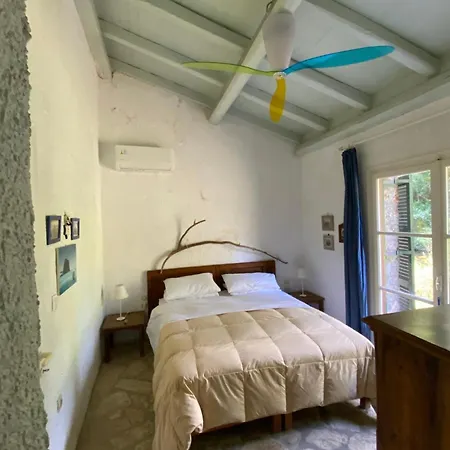 Alexandra 고우비아