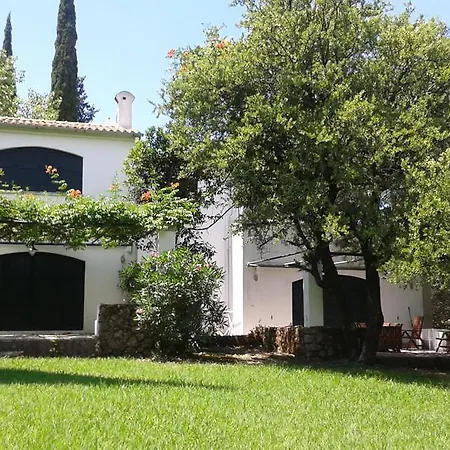 Alexandra 고우비아