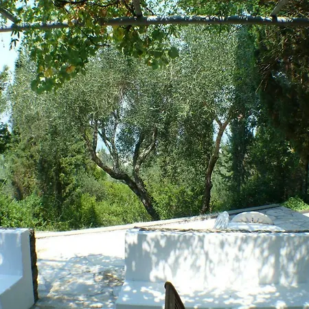 Alexandra 고우비아