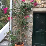 Alexandra *